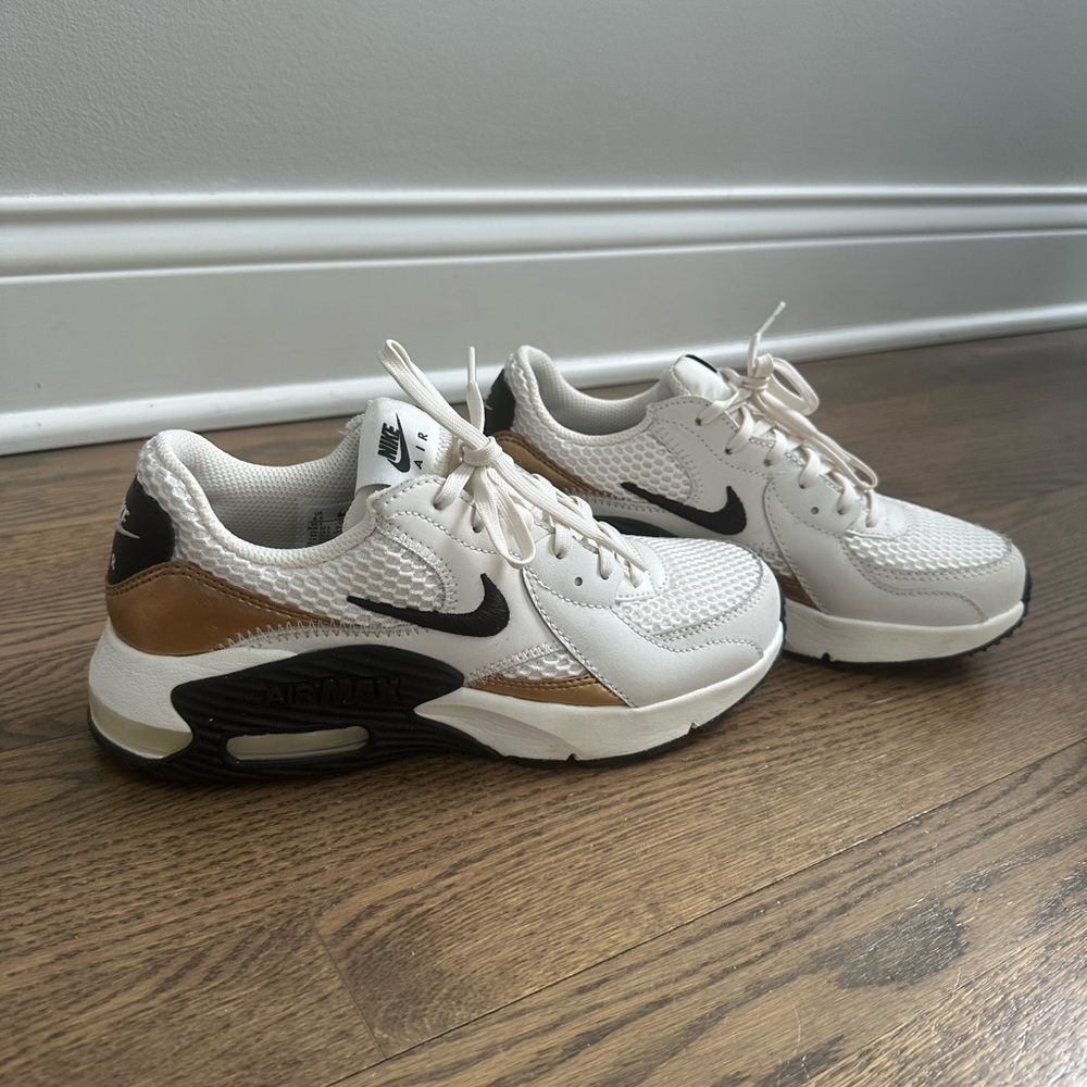 Nike Air Max shoes